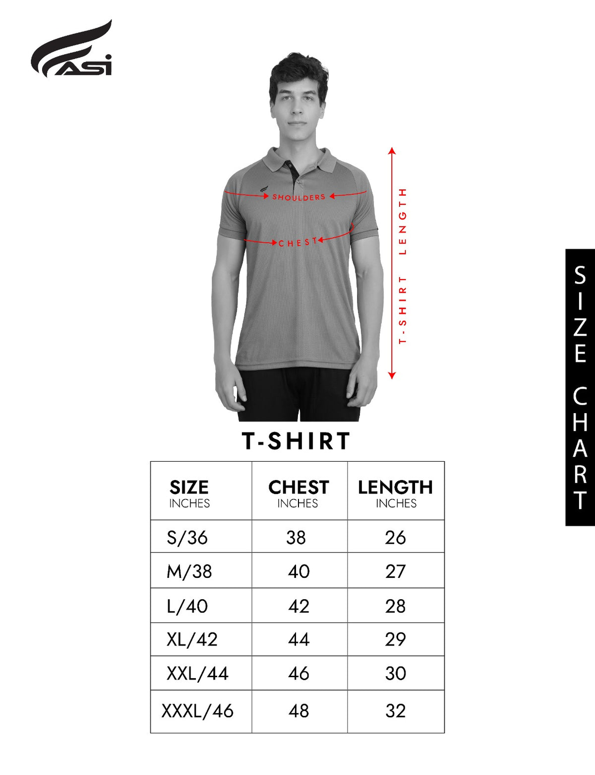 ASI Steady T-Shirt Size Chart